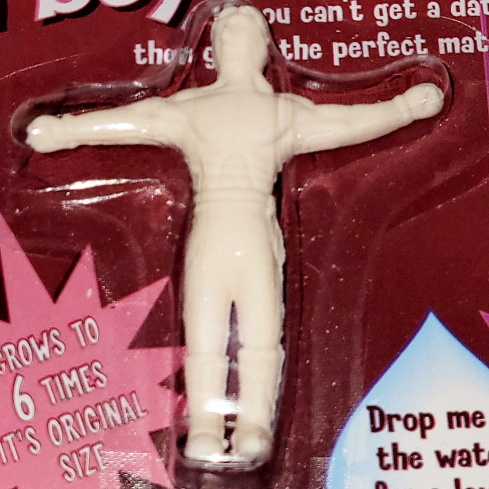Grow a Boyfriend: Bachelorette / Bachelor /   Friend / Valentine / Gag Gift, New